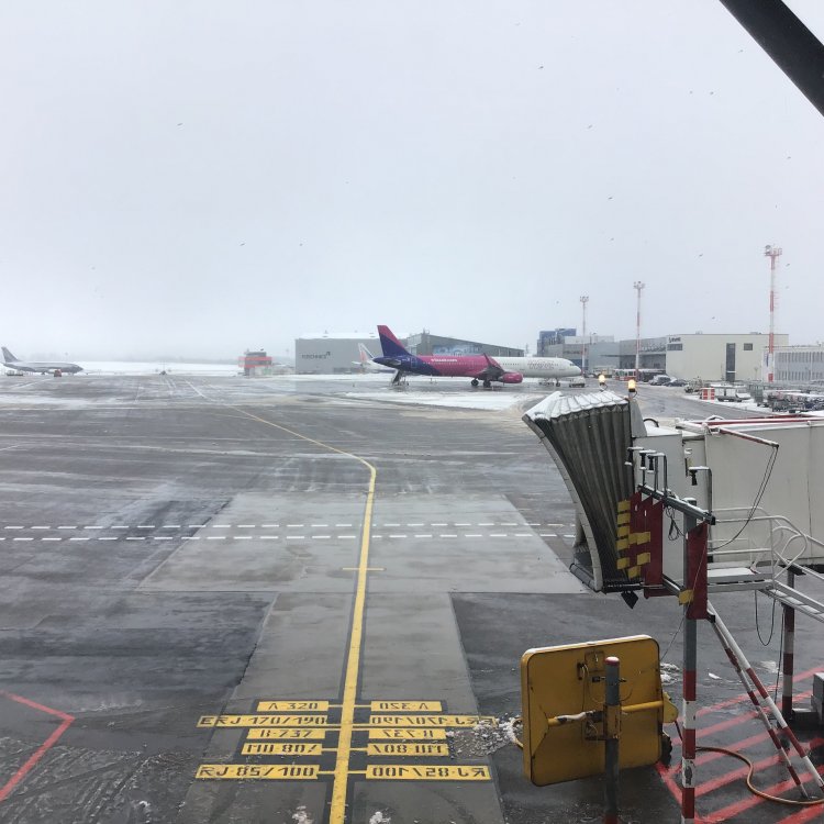 D398134F-4C41-4213-A0E6-AB4654E9FCA5.jpeg