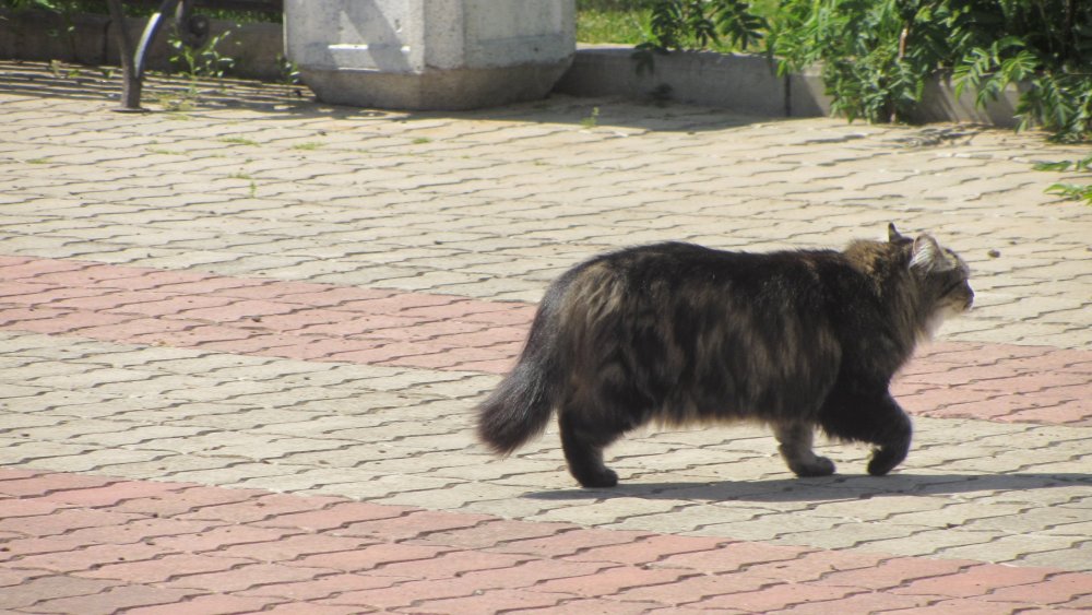 IMG_3539.JPG
