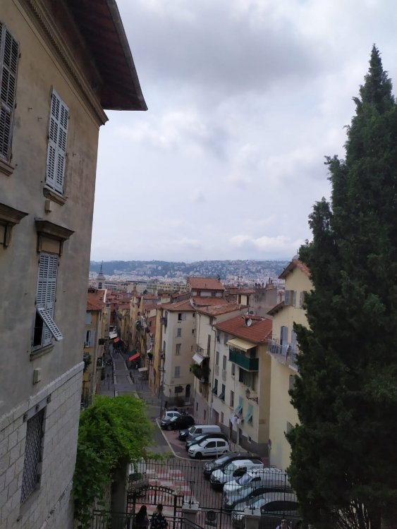 IMG-20190718-WA0012.jpg
