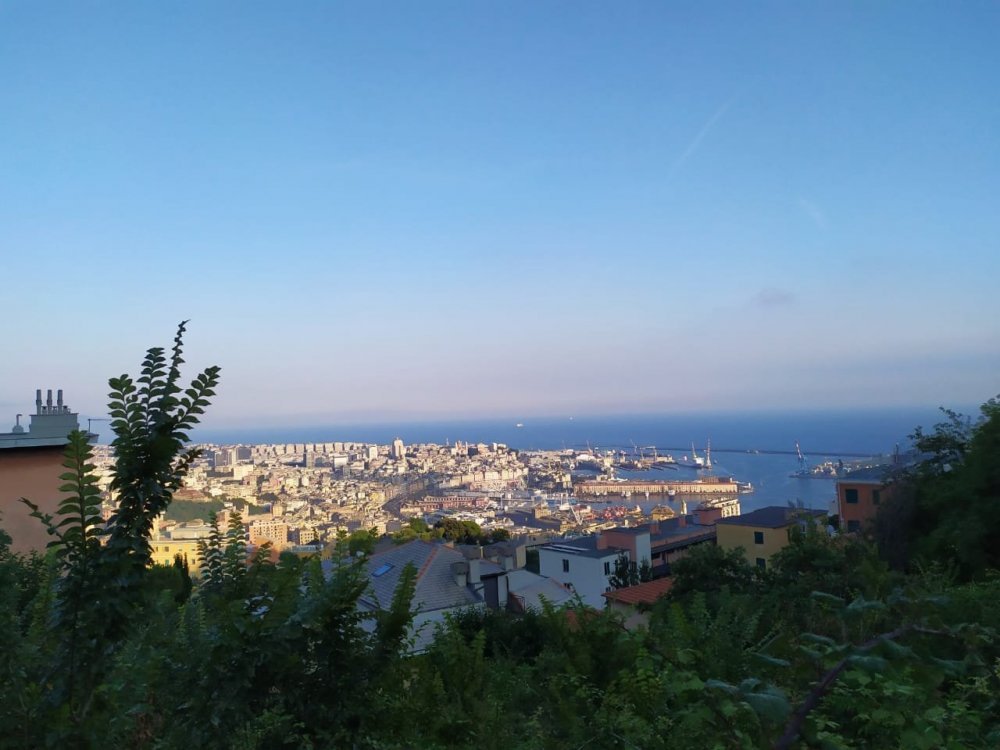 IMG-20190721-WA0018.jpg