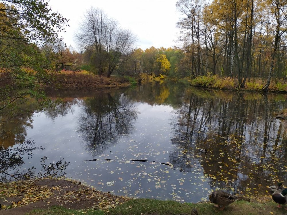 IMG-20191019-WA0028.jpg