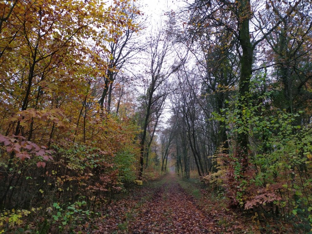 IMG-20191120-WA0022.jpg