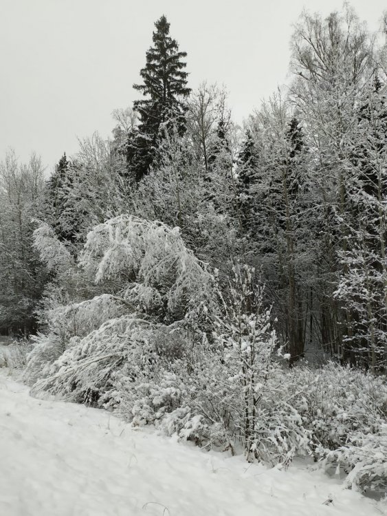 IMG-20191229-WA0002.jpg