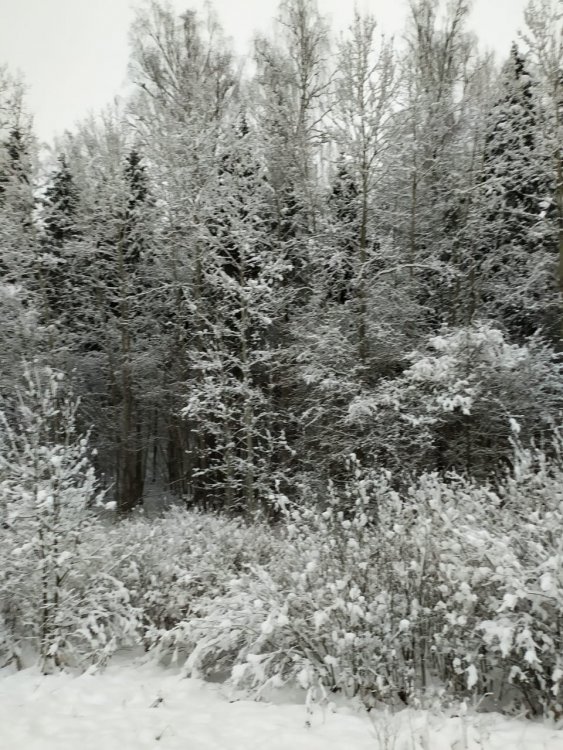 IMG-20191229-WA0003.jpg