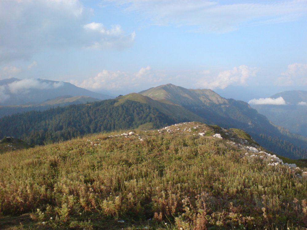 DSC00180.JPG