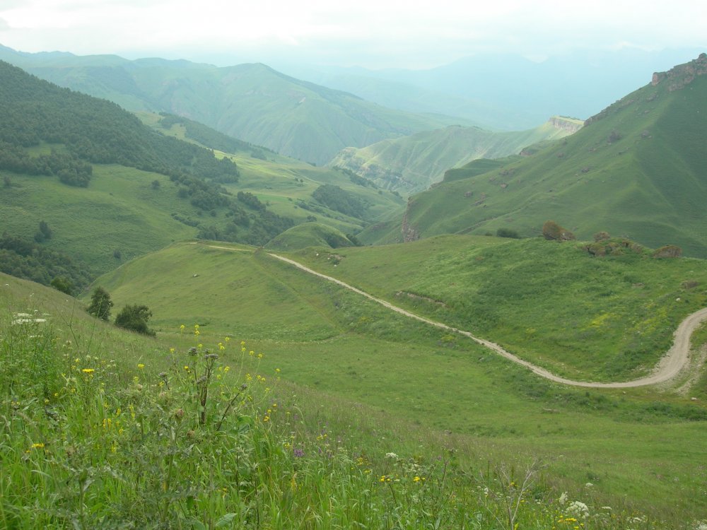 DSCN3472.JPG