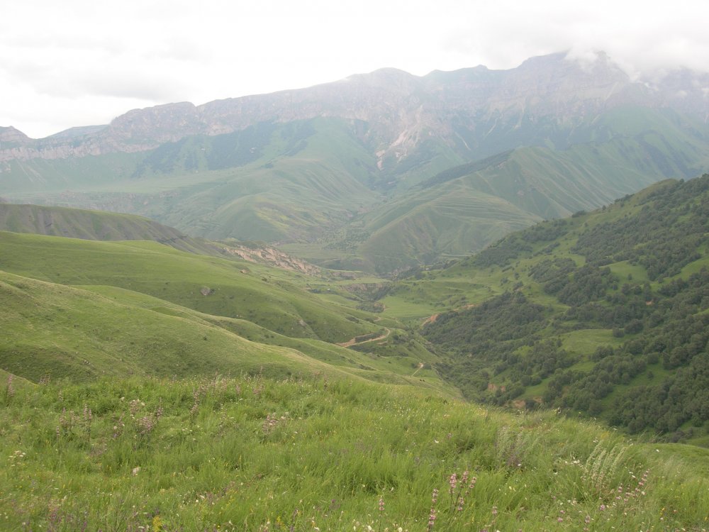 DSCN3474.JPG