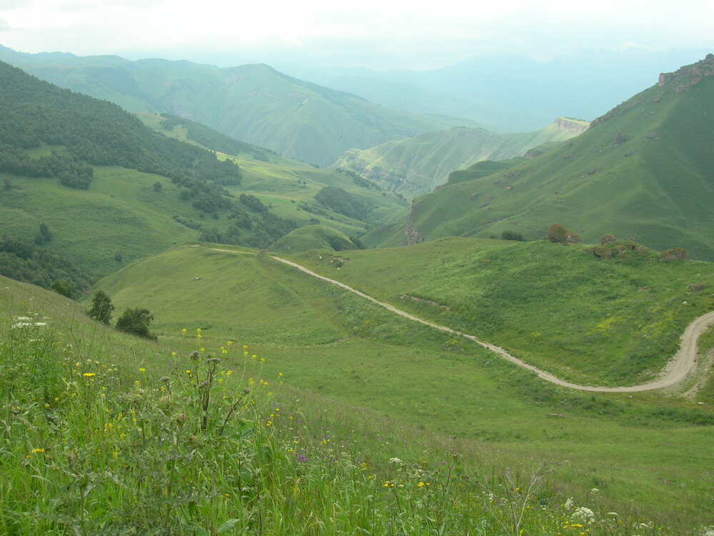 DSCN3472.JPG