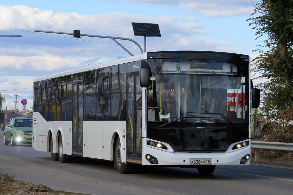 3696896.jpg