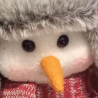 Елена Румянцева