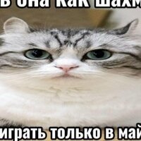 Бобёр Каштанов