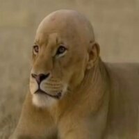 Егор Головин