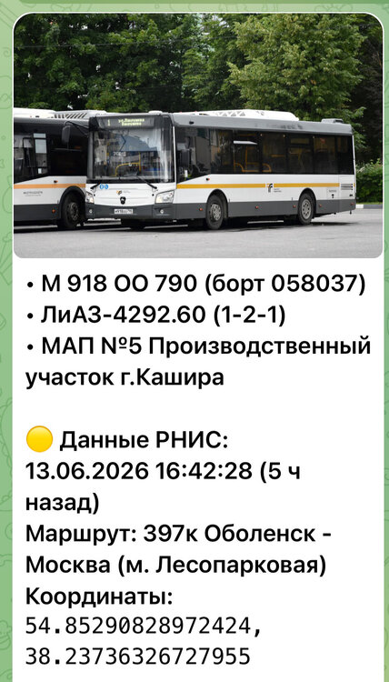 IMG_7709.jpeg